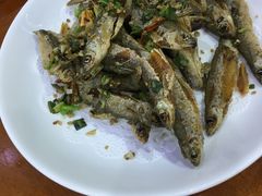 -全乐鱼馆·淳牌有机鱼直营店