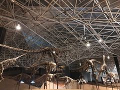 -世界恐龙谷景区