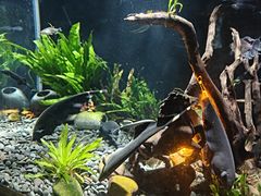 -太平洋海底世界