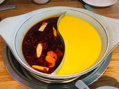-青瓷火锅料理(西单大悦城店)