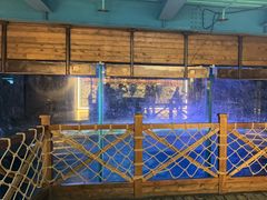 -海合安青岛极地海洋公园