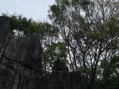 -深圳国际园林花卉博览园