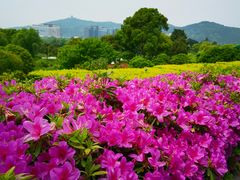 -苏州太湖国际高尔夫俱乐部