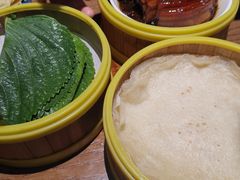 -雀舞云南菜(乐客城店)
