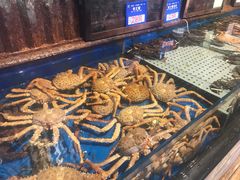 -开海·红岛海鲜虾水饺(石老人店)