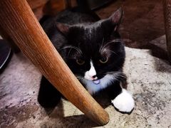 -么么咖啡(燕郊店)