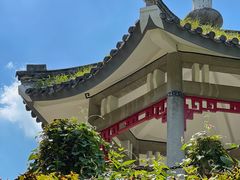 -国家植物园南园