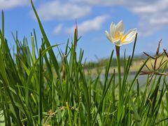 -春花秋色城市公园