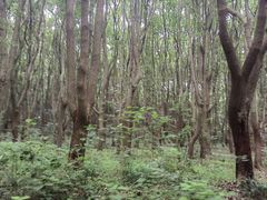 -同里国家湿地公园