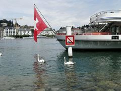 android_upload_pic-卢塞恩湖