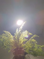 -香秀空间科技抗衰·美容中心
