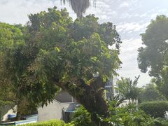 -福建师范大学(仓山校区)