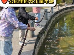 -金花茶公园
