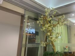 点击看大图 -芳朵美容养生SPA