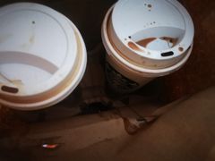 -星巴克(南翔五彩城店)