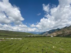 -青海湖国家重点风景名胜区
