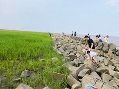 -南汇嘴观海公园