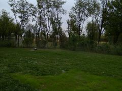 -武清南湖绿博园