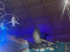 -烟台海昌鲸鲨海洋公园