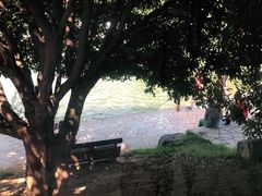 -食膳公园包子铺(烈士公园店)