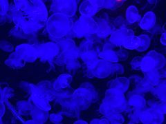 -石林冰雪海洋世界