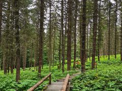 -硗碛藏寨·神木垒景区