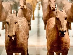 -汉景帝阳陵博物院