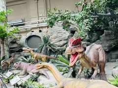 -国家自然博物馆