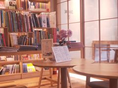 -猫的天空之城概念书店(束河店)