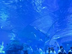 -石家庄市动物园