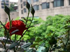 -乌江鱼杭帮菜(西湖店)