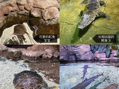 -郑州海洋馆