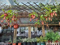 -白塘生态植物园