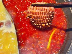 -董眼镜火锅(洪崖洞总店)