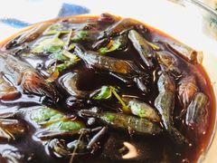 -阿莉餐厅(枣阳路店)