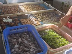 -南沙十九涌渔人码头-南门