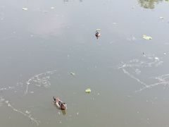 -国家植物园(地铁站)