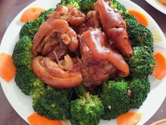 -爱月宝月嫂·育儿嫂(哈尔滨总店)