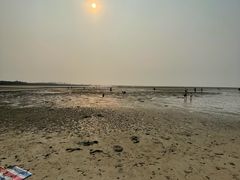 -北海金海湾红树林生态旅游区