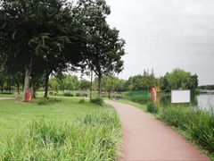 -西山漾湿地公园