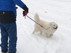 -亚布力新体委滑雪场