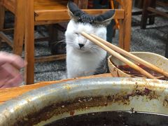 -李德富老街牛杂火锅(抚琴街店)