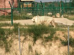 -鄂尔多斯野生动物园