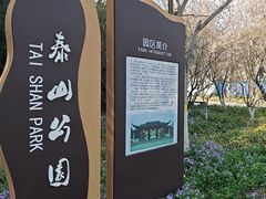 -泰州凤城河风景区-泰山公园