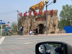 -肯德基(沈阳机场T3店)