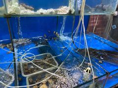 -海帮主·蒸汽海鲜青岛菜(栈桥火车站店)