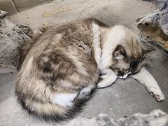 -白兔子密室(长寿路店)