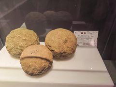 -合肥三国新城遗址公园