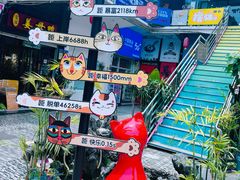 -猫咪博物馆(顶澳仔猫街店)