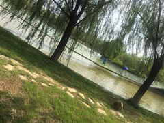 -杨柳青庄园